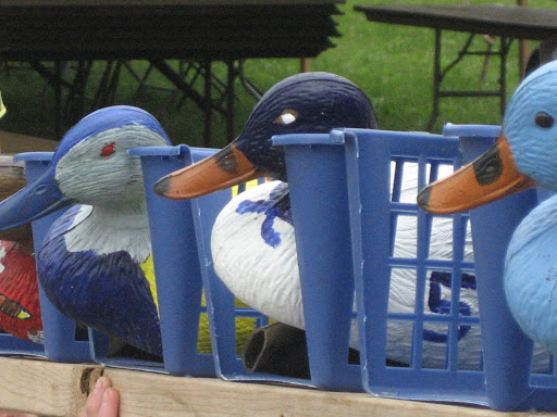 LRCA-riverfest-duck-launch